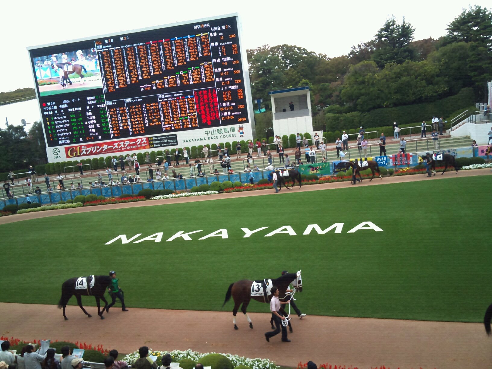 中山競馬場　混雑